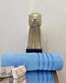 NİVEMESHOME POLOLİFE MAVİ BANYO HAVLUSU thumbnail 2