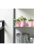 Saksı  Ikea Sommar 2019 9 cm thumbnail 3