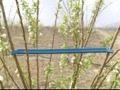 Dal Açma Aparatı 50 Cm thumbnail 1