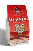 Sumatra Çekirdek Kahve (Single Origin) 250 gr thumbnail 1