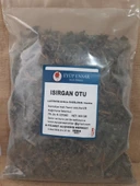 Eyüp Ensar ISIRGAN OTU 300 GR thumbnail 1