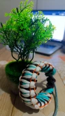 Paracord karışık renk dragon bileklik thumbnail 6