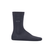 DS Damat Erkek Pamuk Çorap Basic Füme thumbnail 2