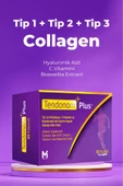 TENDONOM PLUS Tip 1-2-3 Kolajen 60 kapsül thumbnail 1