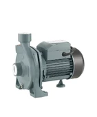 Rainpump Cpm170 Santrifuj Pompa thumbnail 2