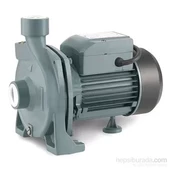 Rainpump Cpm170 Santrifuj Pompa thumbnail 1