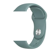 Apple Watch 42mm  Klasik Kordon thumbnail 6