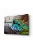 AlpiLeo Iguana Alp Özel Cam Tablo thumbnail 1