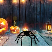 Halloween Örümcek Figür 30 cm Siyah thumbnail 1