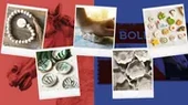 Smarta BOLD Toprak Rengi (500g x 24) thumbnail 2
