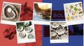 Smarta BOLD Beyaz (500g x 24) thumbnail 2