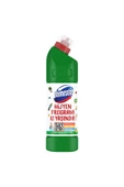 Domestos 806 GR DAĞ ESİNTİSİ thumbnail 2