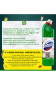 Domestos 806 GR DAĞ ESİNTİSİ thumbnail 4