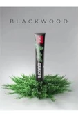 Splat Blackwood Diş Macunu 75 ml thumbnail 5