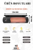 KIŞ GÜNEŞİ-WİNTER SUN 2000 thumbnail 6