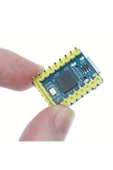 Raspberry Pi Zero RP2040 Dual Core 133Mhz 2Mb Modül Arm Cortex-M0+ 264Kb Type C Mini Bilgisayar thumbnail 8