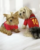 Uno Red Köpek Tişörtü thumbnail 2