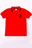 ERKEK ÇOCUK TSHİRT POLO YAKA A7 thumbnail 12
