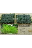 KARİDES MARKET 2 Adet 3-3 Cm Java Moss Yeni Tele Sarılı thumbnail 1