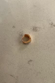 GURMET TREGUS thumbnail 3