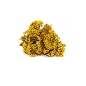 Civan Perçemi (Achillea millefolium) 250 gr, Derya Eren thumbnail 2