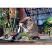Ks Games Naughty Cat 500 Parça Puzzle thumbnail 1