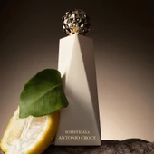 Antonio Croce Sofisticata EDP 100ML thumbnail 4