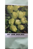 KOLUKISA TARIM DİK DOLMA BİBER TOHUMU thumbnail 2