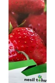 YEDİVEREN ÇİLEK TOHUMU thumbnail 2