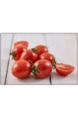 Bt Beybito Cherry Domates Tohumu (5 Gr) thumbnail 5