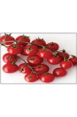 Bt Beybito Cherry Domates Tohumu (5 Gr) thumbnail 4