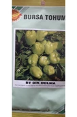 KOLUKISA TARIM DİK DOLMA BİBER TOHUMU thumbnail 3