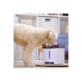 Aclium Sensörlü Köpek Su Sebili 2,4 Lt thumbnail 2