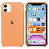 Apple iPhone 11 Silikon Lansman Kılıf thumbnail 6