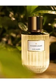 Estee Lauder Tender Light EDP 100 ml Kadın Parfüm thumbnail 2