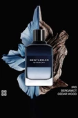 Givenchy Gentleman EDT Intense 60 ml Erkek Parfüm thumbnail 3