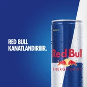 Red Bull Enerji İçeceği 250 ml 24'lü thumbnail 2