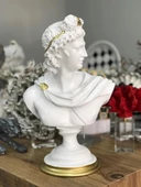 Apollo Büst Büyük Boy Heykel thumbnail 2
