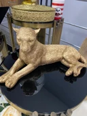 Yatan Leopar Biblo thumbnail 7