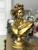 Apollo Büst Büyük Boy Heykel thumbnail 4