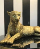 Yatan Leopar Biblo thumbnail 8