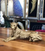 Yatan Leopar Biblo thumbnail 9