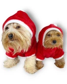 Santa Time Yılbaşı Köpek Sweatshirt, Noel Sweatshirt gold thumbnail 12