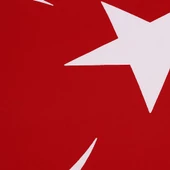 Buket Türk Bayrağı (800 x 1200) thumbnail 4