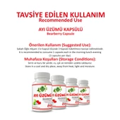 Ayı Üzümü Kapsül (Bearberry Capsule)  60 Adet thumbnail 4
