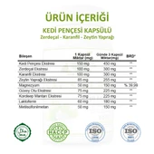 Kedi Pençesi Kapsül (CAT'S CLAW CAPSULE) 60 Adet thumbnail 3