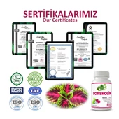 Forskolin Kapsül (COLEUS CAPSULE) 60 Adet thumbnail 5