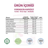 Forskolin Kapsül (COLEUS CAPSULE) 60 Adet thumbnail 3