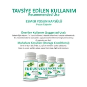 Fucus Kapsül (FUCUS CAPSULE) 60 Adet thumbnail 4