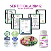 Harpago Kapsül (DEVİL'S CLAW CAPSULE) 60 Adet thumbnail 5